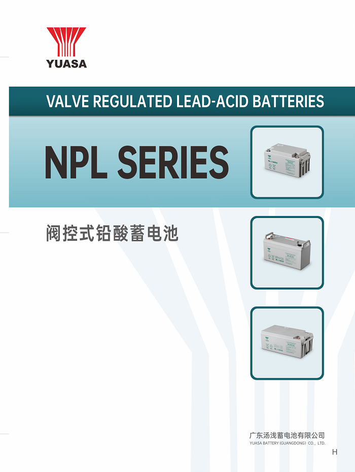 汤浅NPL参数1.png